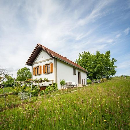 Villa Weinlofts Weinloft I Edlitz im Burgenland Esterno foto