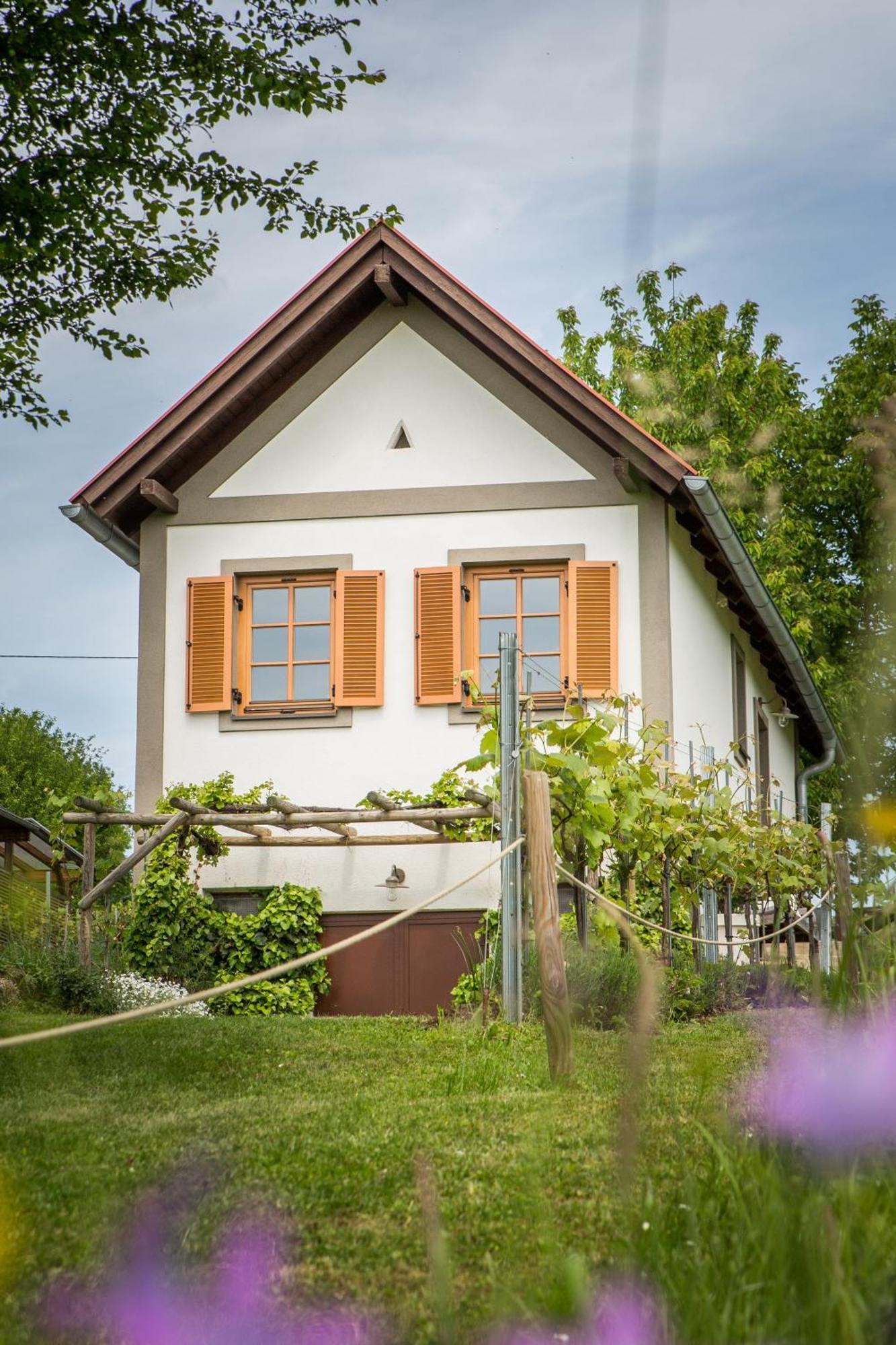 Villa Weinlofts Weinloft I Edlitz im Burgenland Esterno foto