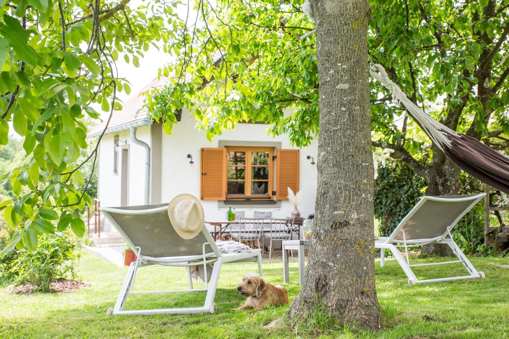 Villa Weinlofts Weinloft I Edlitz im Burgenland Esterno foto