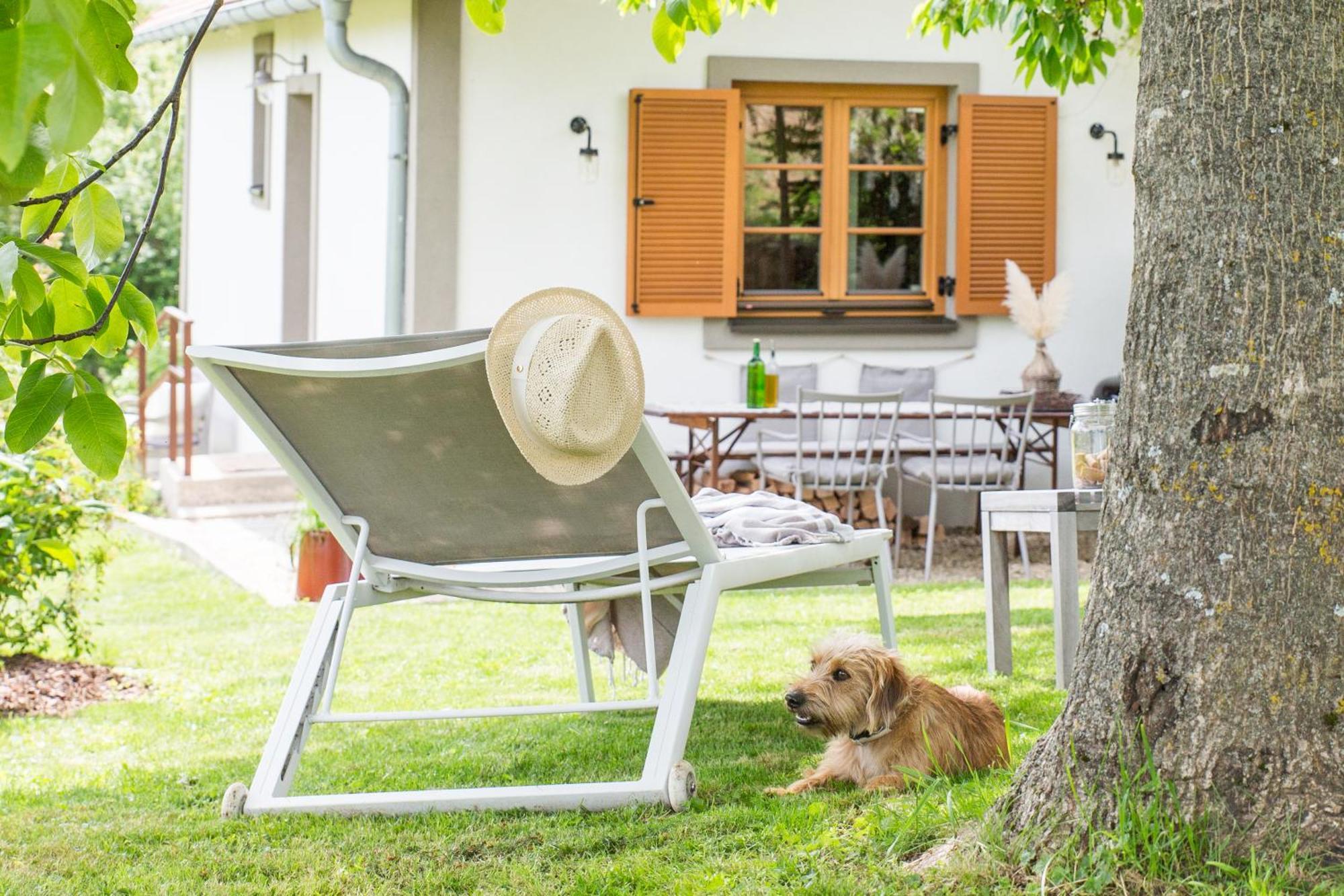 Villa Weinlofts Weinloft I Edlitz im Burgenland Esterno foto