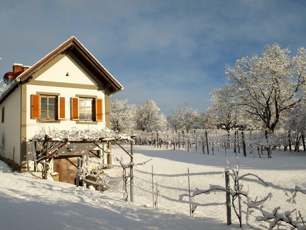 Villa Weinlofts Weinloft I Edlitz im Burgenland Esterno foto
